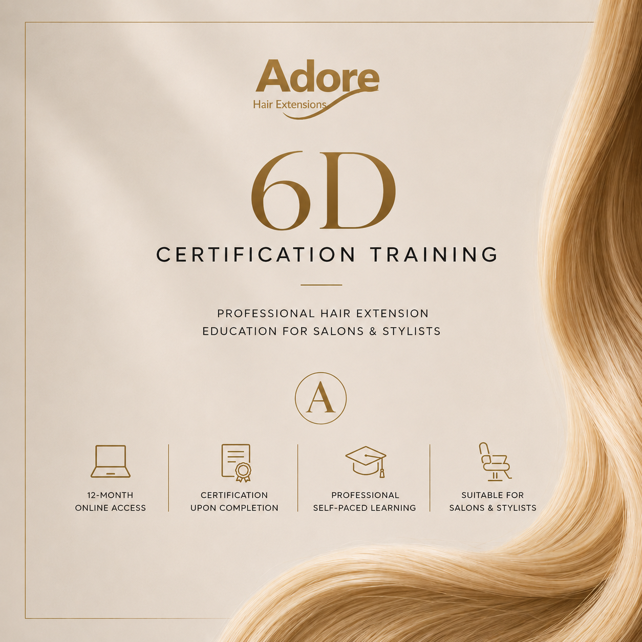 6D Certification Training