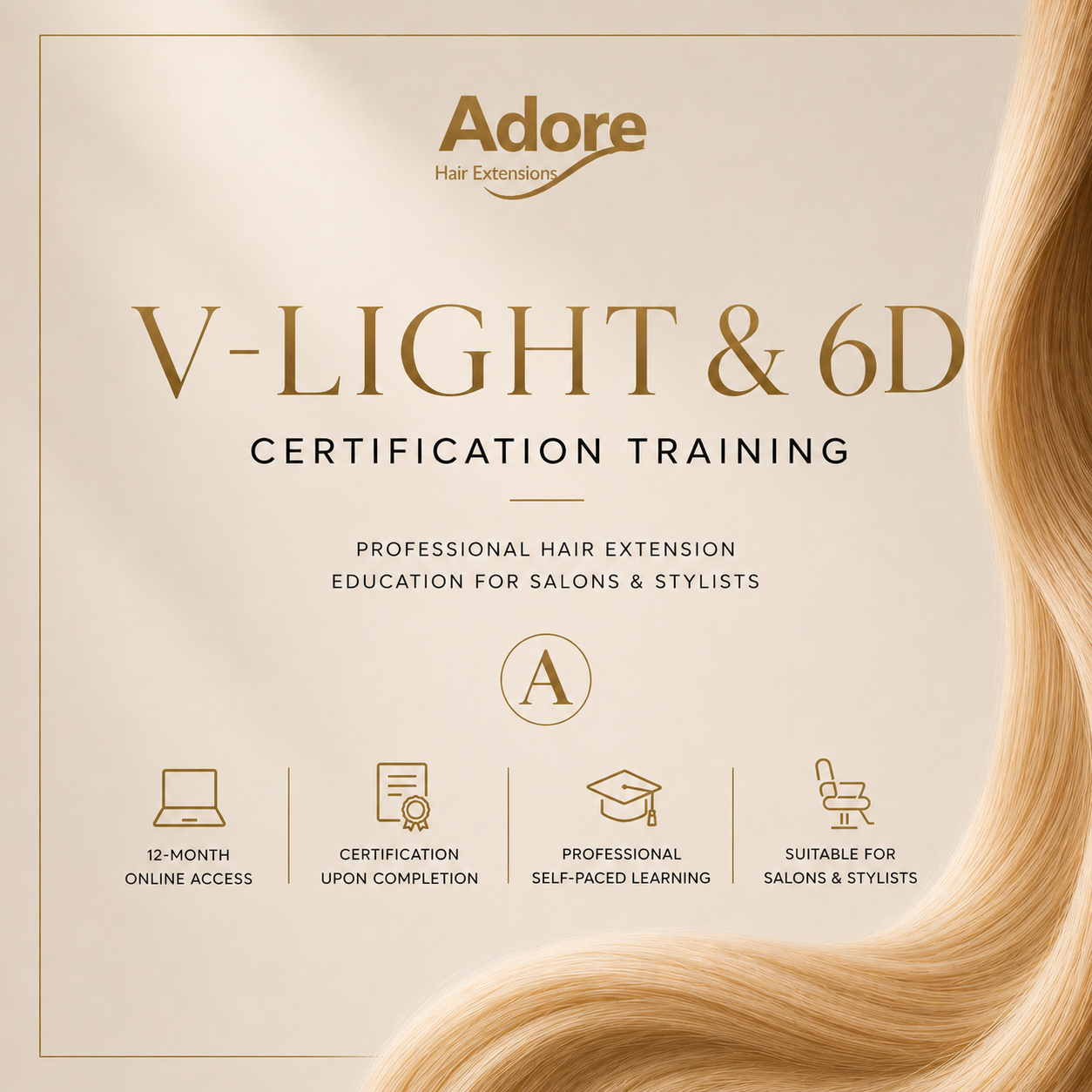 V-Light & 6D Certification Training