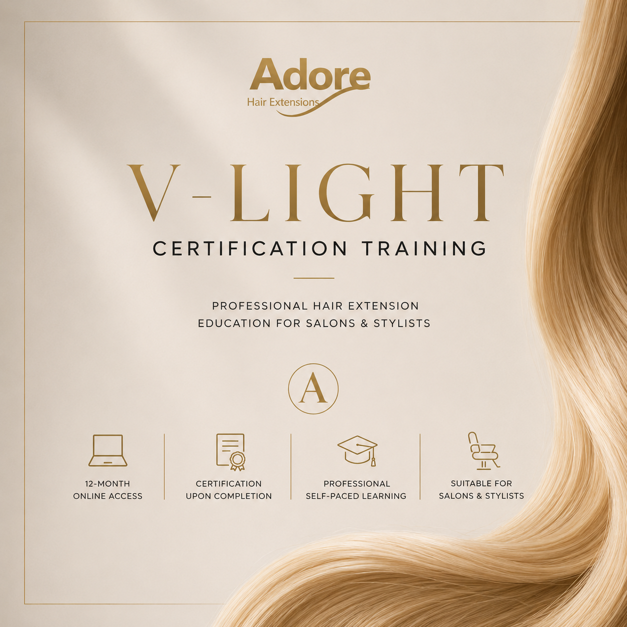 V-Light Certification Training